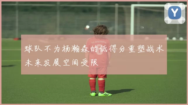 球队不为杨瀚森的低得分重塑战术未来发展空间受限