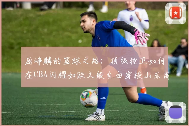 庞峥麟的篮球之路：顶级控卫如何在CBA闪耀如欧文般自由穿梭山东高速